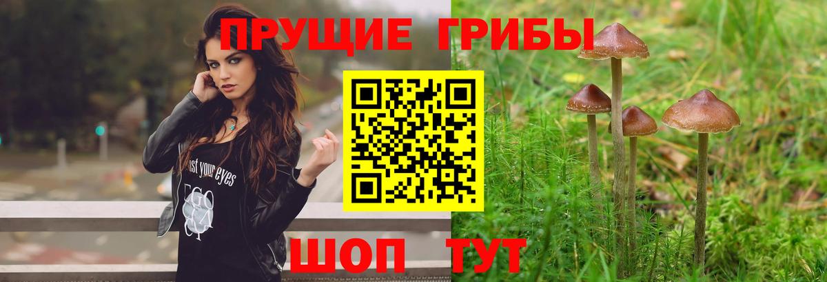 Галлюциногенные грибы MAGIC MUSHROOMS  Вход с VPN  Азнакаево 