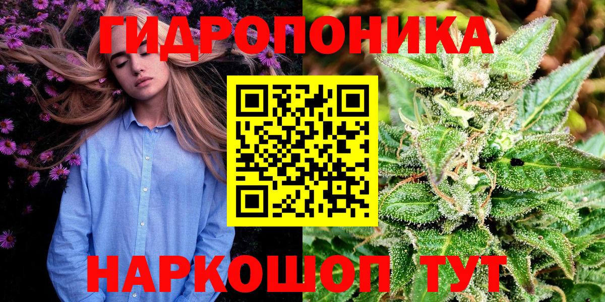 Бошки Шишки тримм  Канабис Bruce Banner  Вход с VPN  Азнакаево  Канабис Ganja 